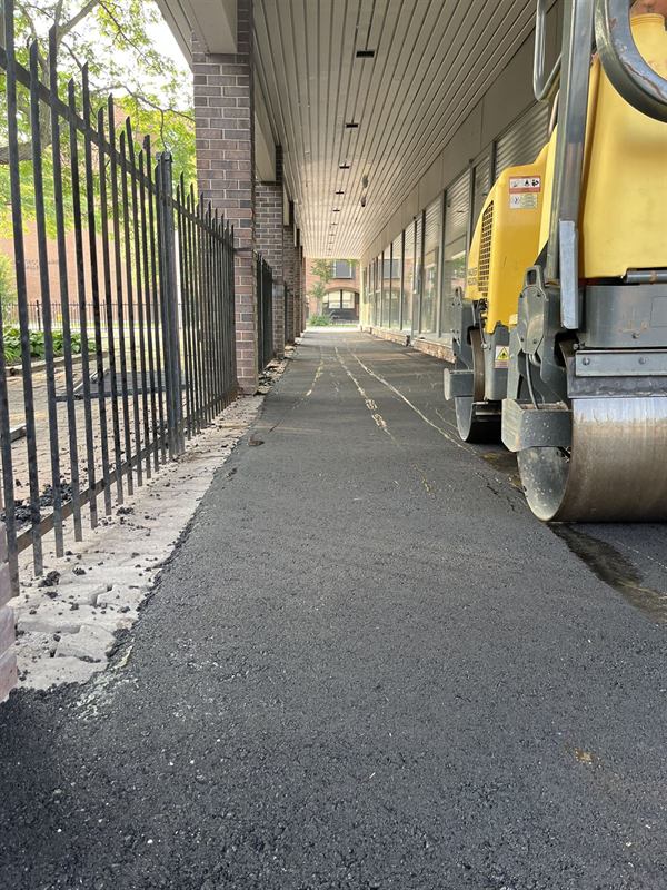 New asphalt pathway paved along a wooden fence line at an Ottawa property